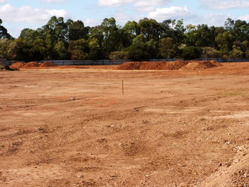 Seasonal Land Clearing Conditions