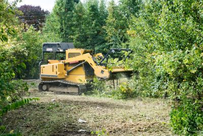 Optimal Timing for Land Clearing