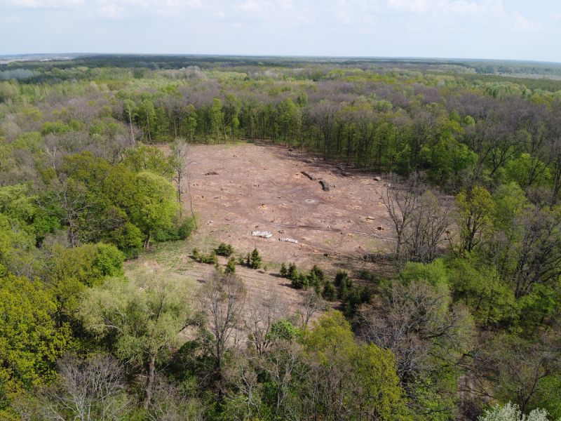 Complete Land Clearing Projects