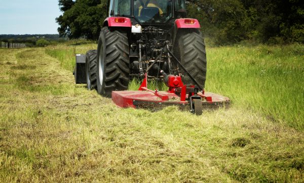 Cost of Brush Clearing Service in Acworth