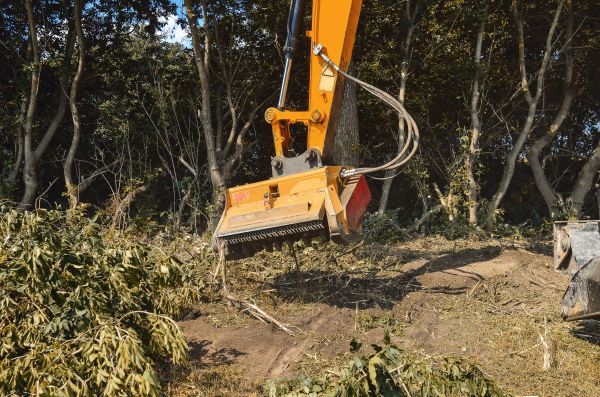 Cost of Brush Removal Service in Acworth