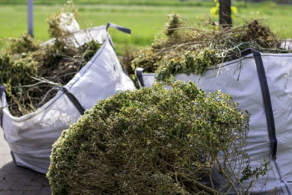 Cost of Bushes Clearing in Acworth